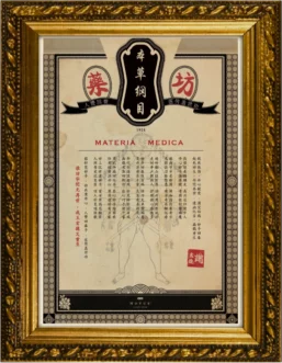 Chinese theme Escape Game Room : Materia Medica Poster